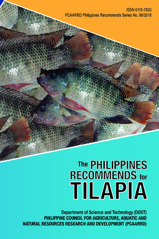 tilapia business plan philippines