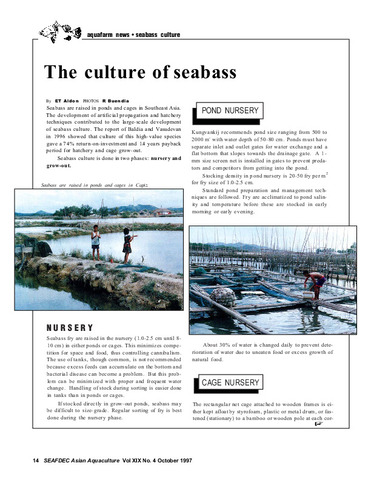 The culture of seabass