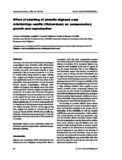 Effect of stunting of juvenile bighead carp Aristichthys nobilis ...