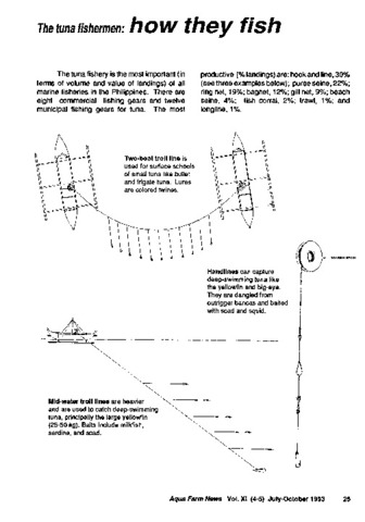 Tuna fishermen: How they fish