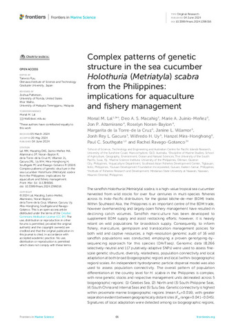 Complex patterns of genetic structure in the sea cucumber Holothuria ...